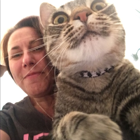 DAYNAC19 is NOW ADDICAT DESIGNS - Picture 14 of 16